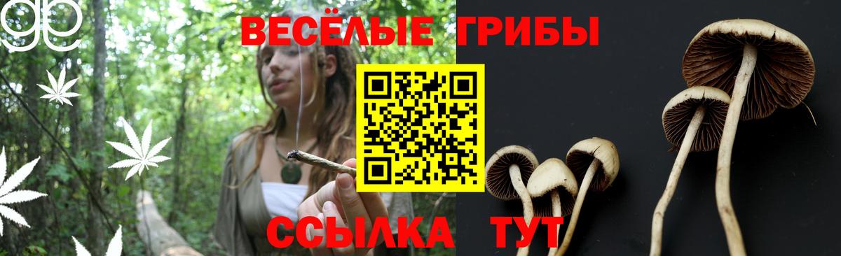 Галлюциногенные грибы мухоморы Кулебаки